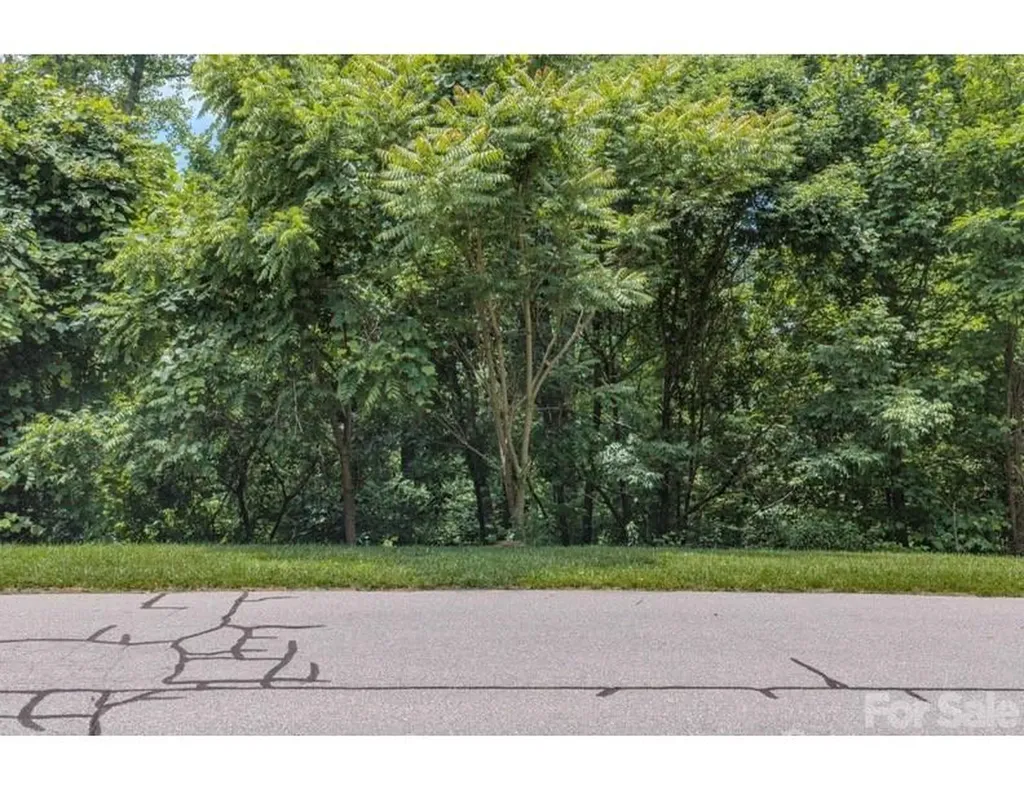 10 Fall Mountain Road Asheville NC 28803