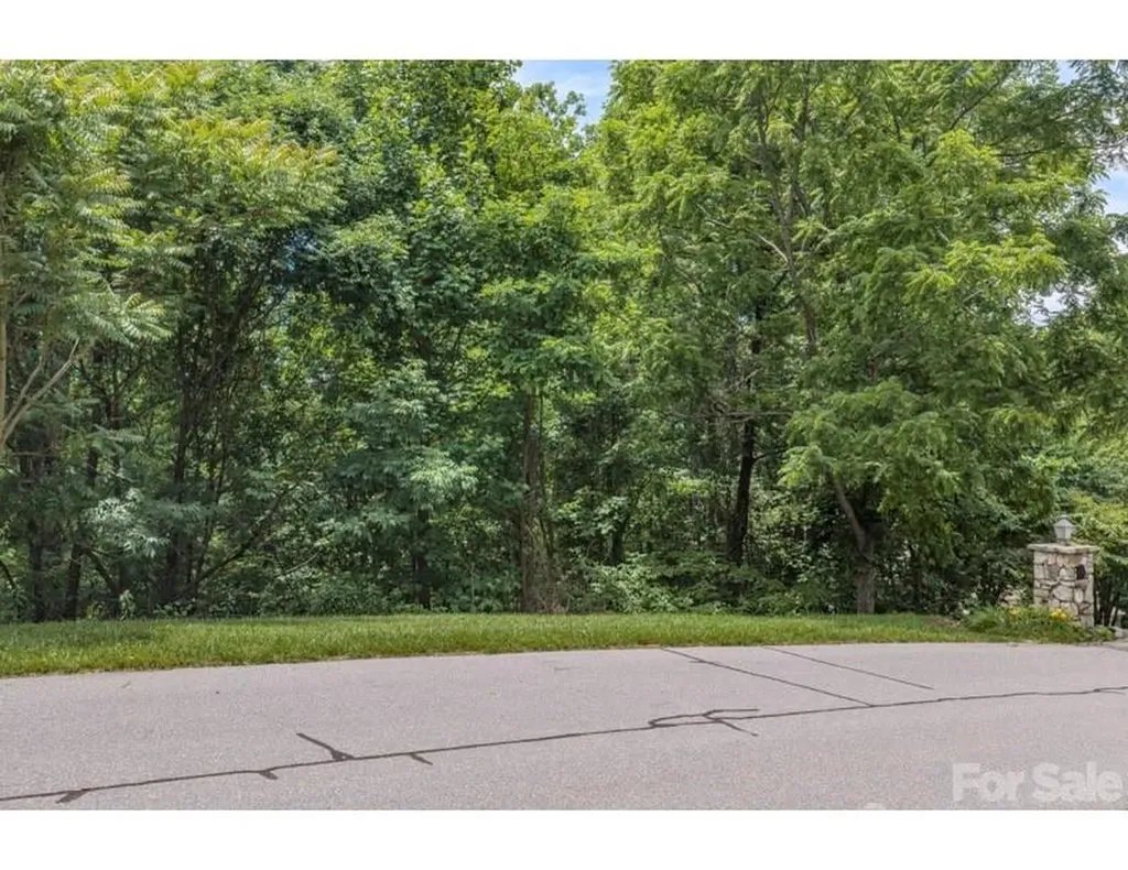 10 Fall Mountain Road Asheville NC 28803