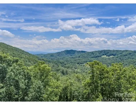 10 Fall Mountain Road Asheville NC 28803