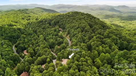 51 Duya Court Brevard NC 28712