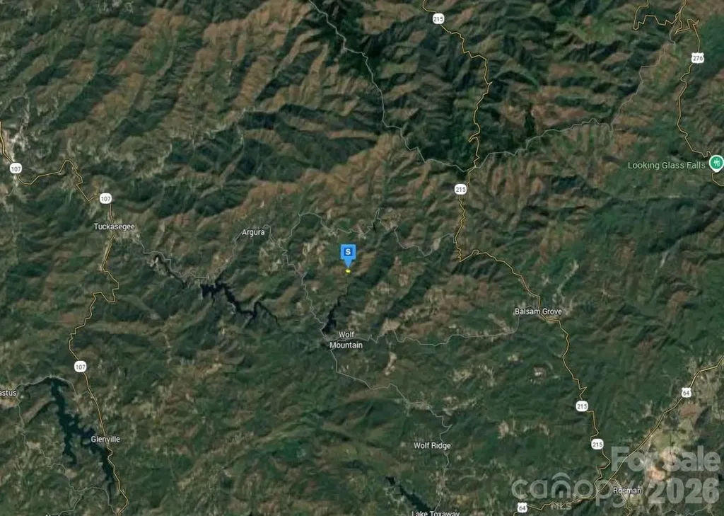 51 Bear Track Drive Tuckasegee NC 28783