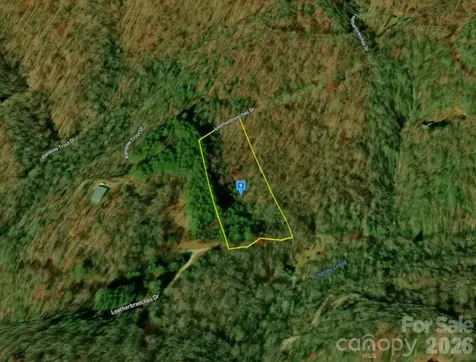 51 Bear Track Drive Tuckasegee NC 28783