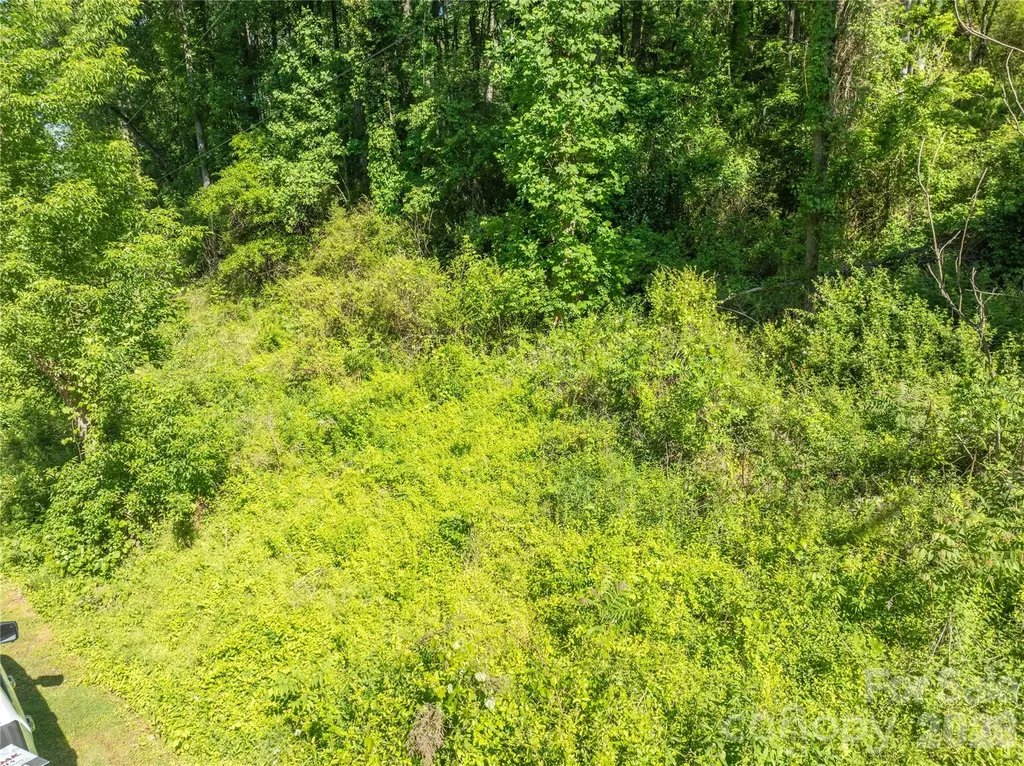 Tbd Harkins Cove Road Canton NC 28716