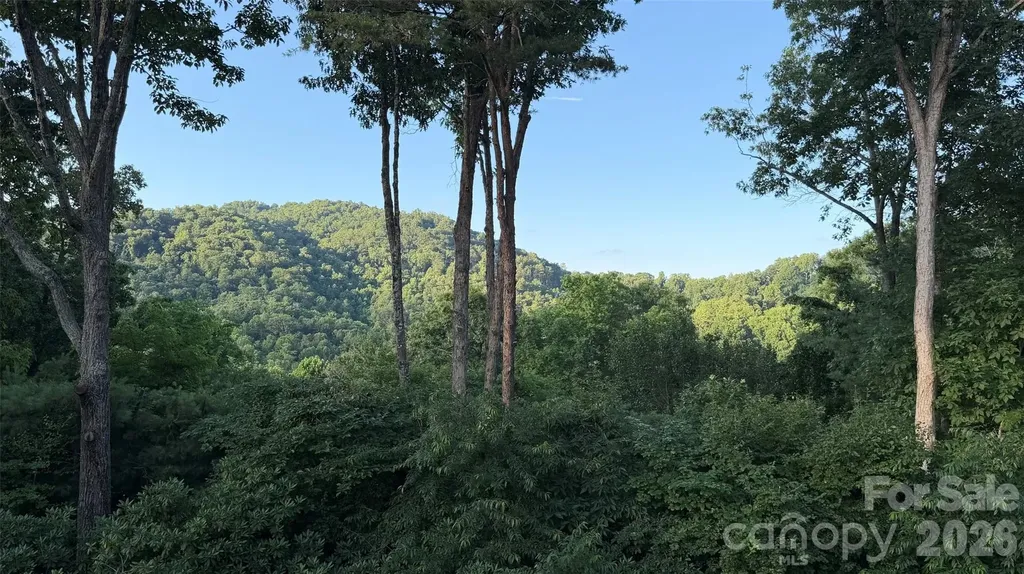 152 Skyview Circle Asheville NC 28804