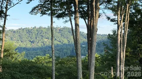 152 Skyview Circle Asheville NC 28804