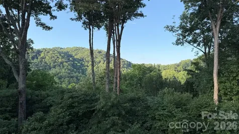 152 Skyview Circle Asheville NC 28804