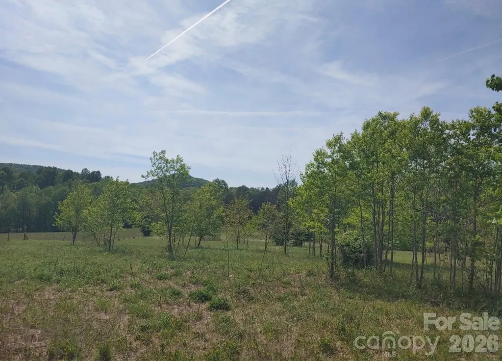 Off Landis Lane Nebo NC 28761