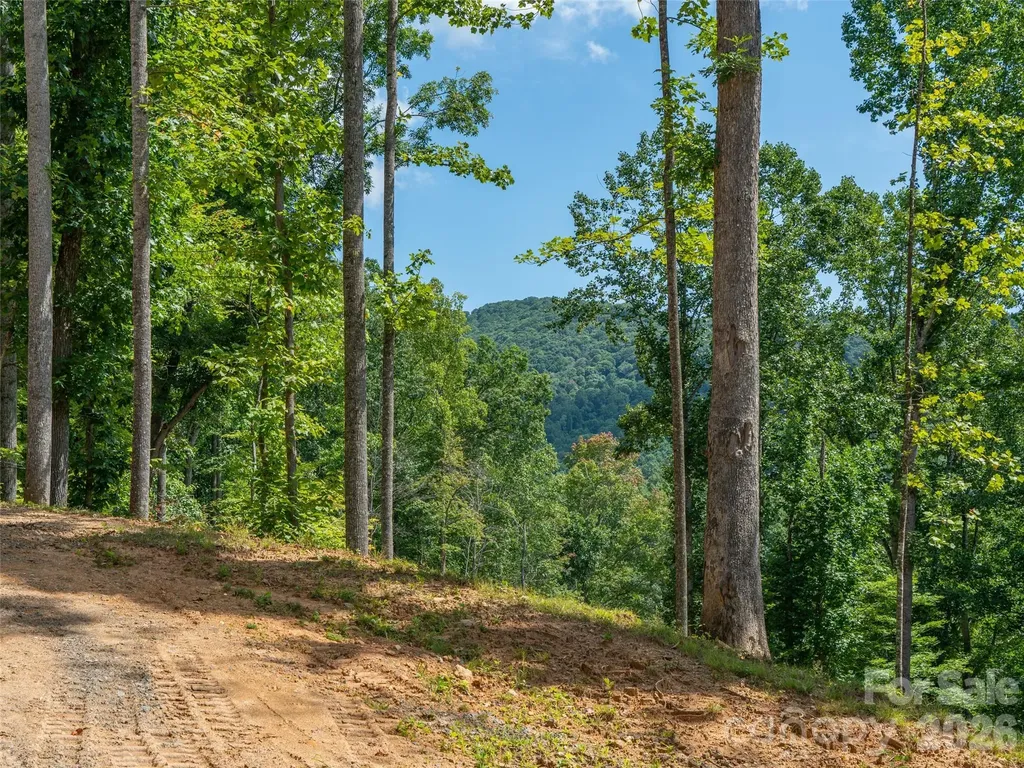 000 Locust Rough Mountain Road Burnsville NC 28714