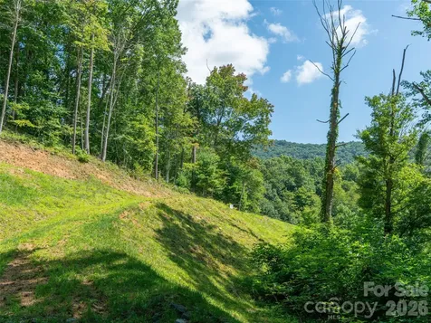 000 Locust Rough Mountain Road Burnsville NC 28714