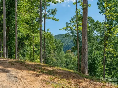 000 Locust Rough Mountain Road Burnsville NC 28714