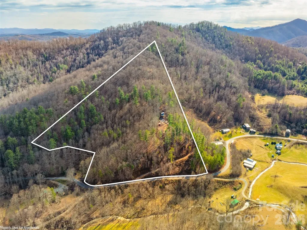 2504 Upper Paw Paw Road Marshall NC 28753