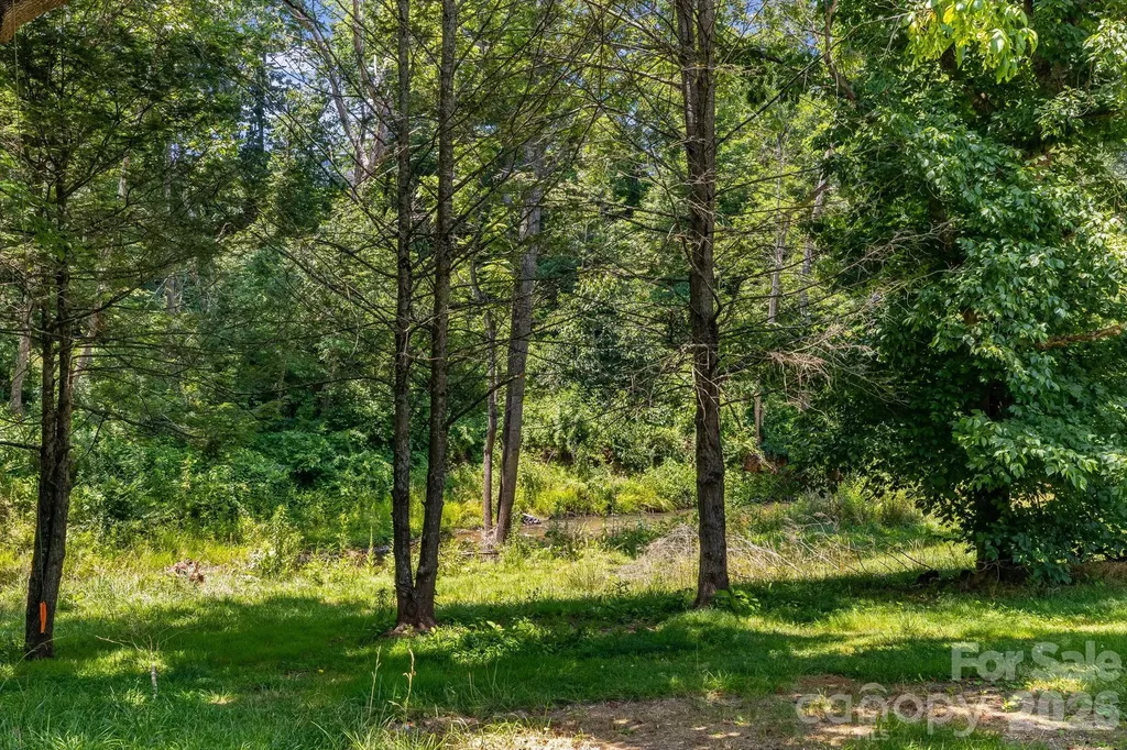 67 Banks Town Road Weaverville NC 28787