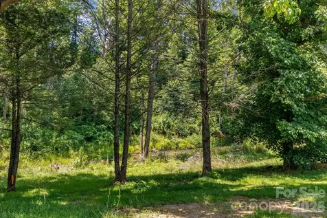 67 Banks Town Road Weaverville NC 28787