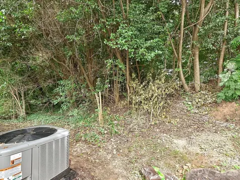 3629 Silver Ore Lane Charlotte NC 28216