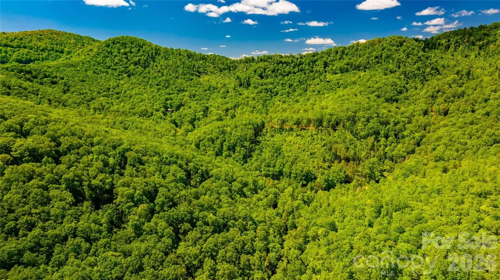 214 Ballard Creek Road Fairview NC 28730