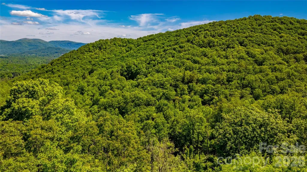 214 Ballard Creek Road Fairview NC 28730