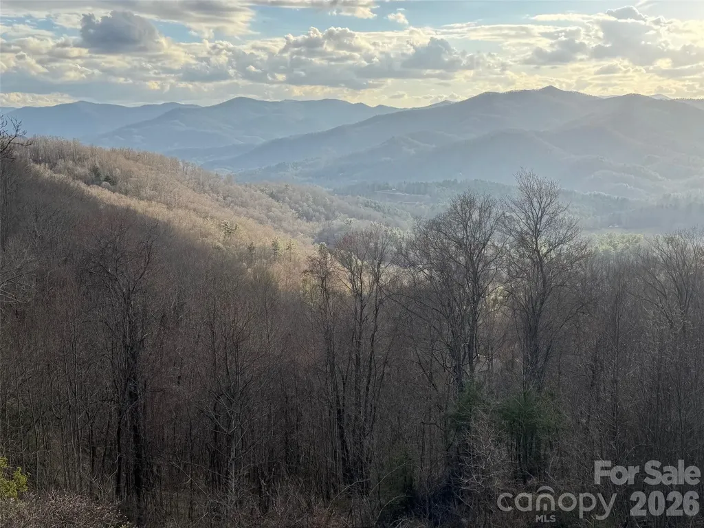 686 Hyacinth Drive Clyde NC 28721