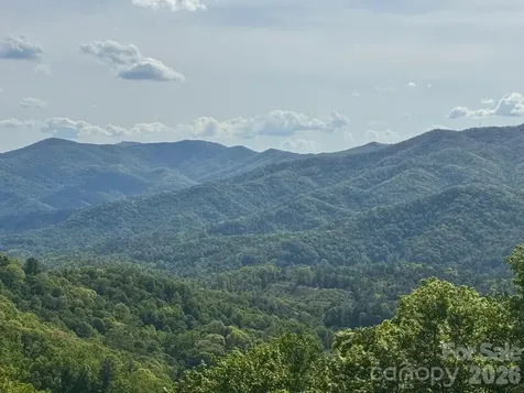 686 Hyacinth Drive Clyde NC 28721