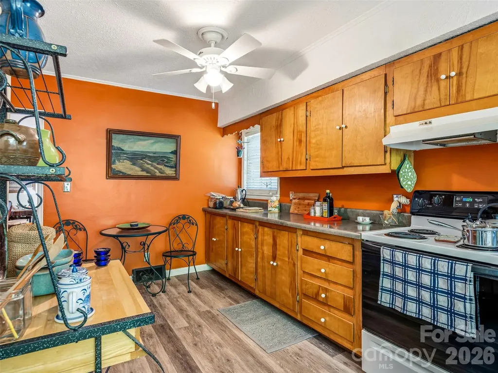 28 Canterbury Road Asheville NC 28805
