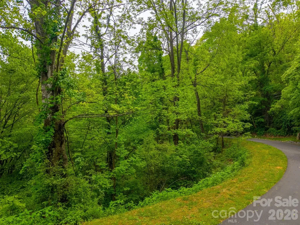 Lot 104 Campbell Mountain Drive Waynesville NC 28785