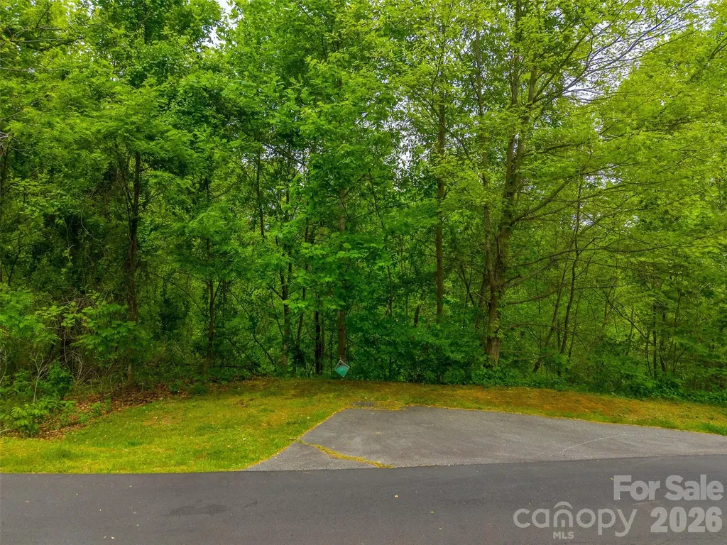Lot 104 Campbell Mountain Drive Waynesville NC 28785