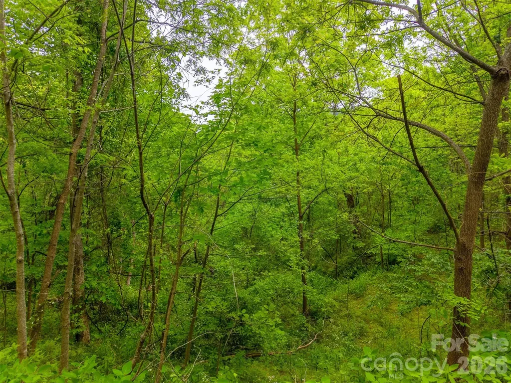 Lot 104 Campbell Mountain Drive Waynesville NC 28785