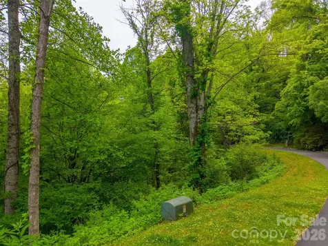 Lot 104 Campbell Mountain Drive Waynesville NC 28785