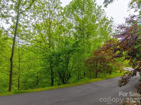 Lot 104 Campbell Mountain Drive Waynesville NC 28785