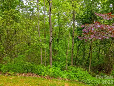 Lot 104 Campbell Mountain Drive Waynesville NC 28785