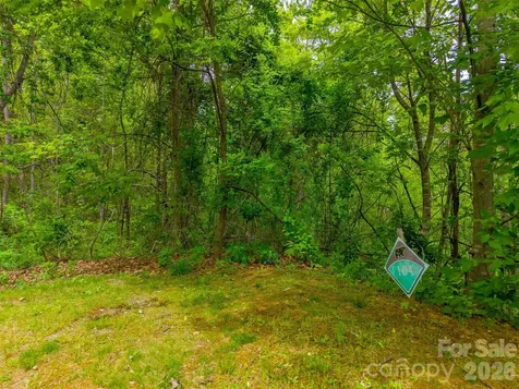 Lot 104 Campbell Mountain Drive Waynesville NC 28785