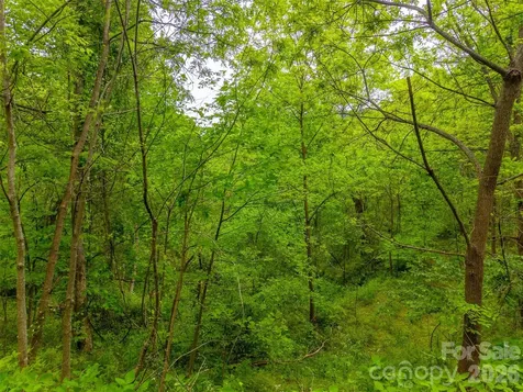 Lot 104 Campbell Mountain Drive Waynesville NC 28785