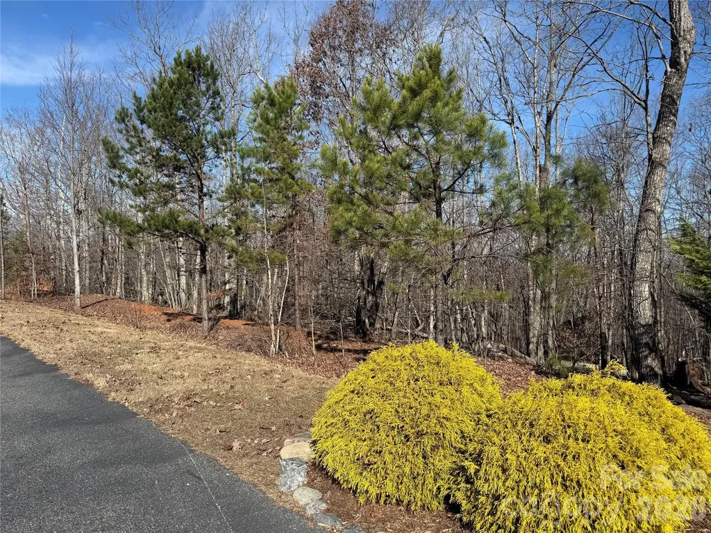 108 Woodgate Trail Nebo NC 28761