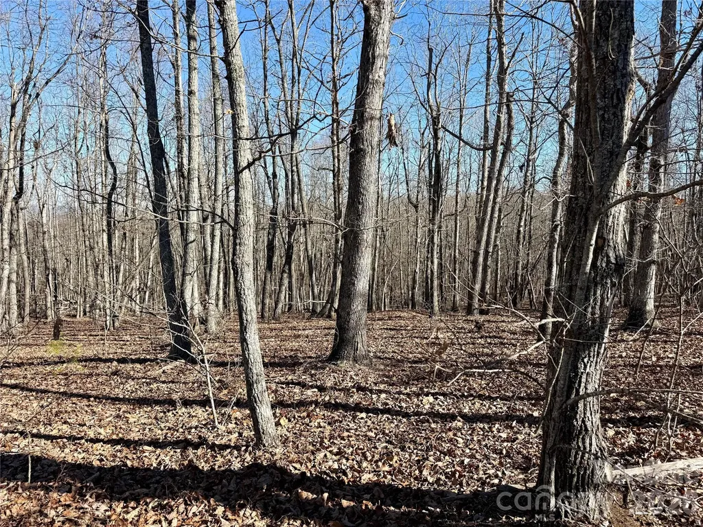 108 Woodgate Trail Nebo NC 28761