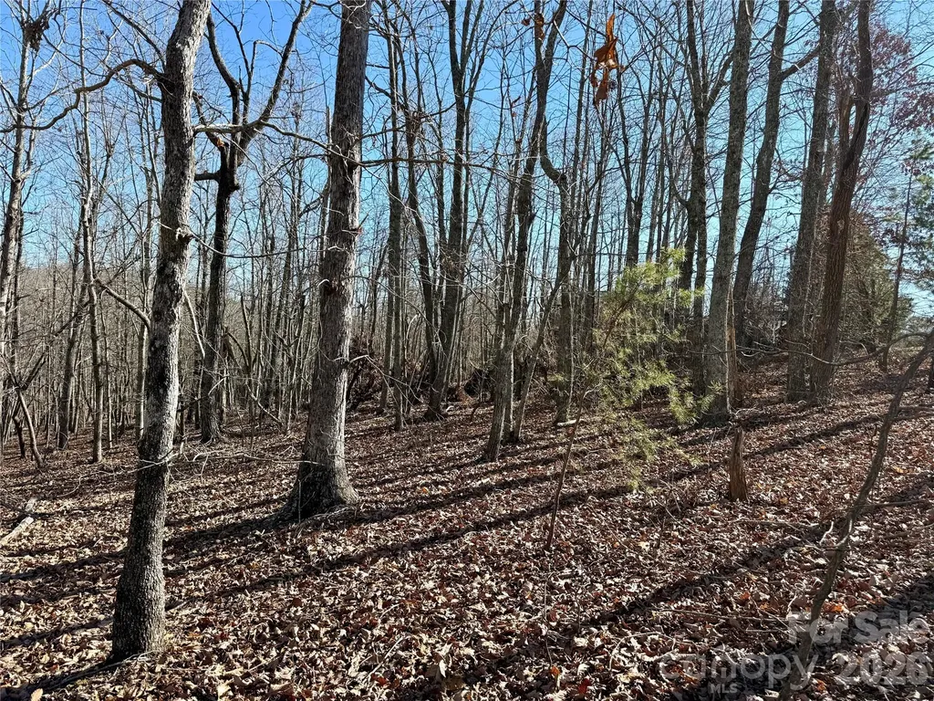108 Woodgate Trail Nebo NC 28761