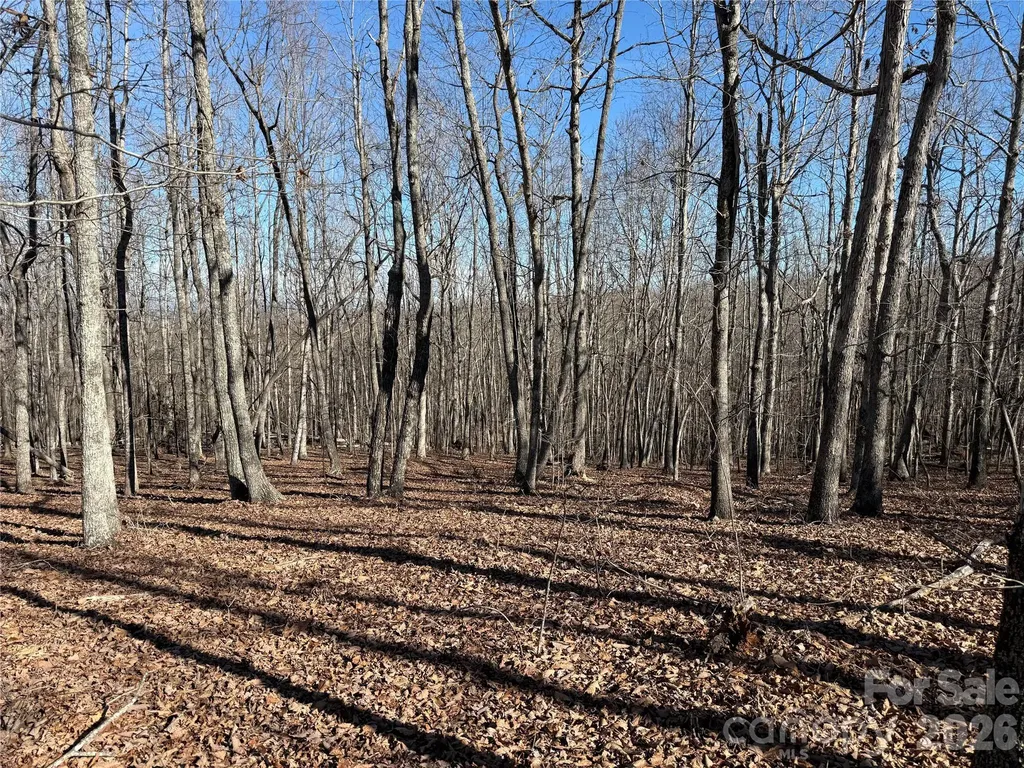 108 Woodgate Trail Nebo NC 28761