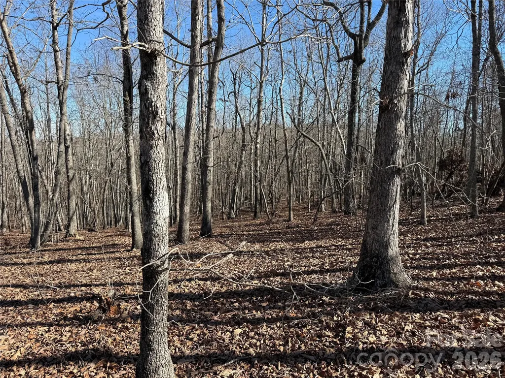 108 Woodgate Trail Nebo NC 28761