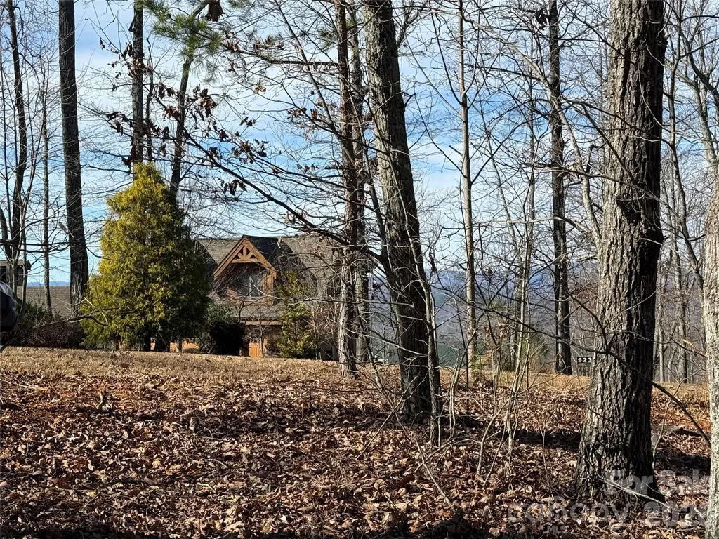 108 Woodgate Trail Nebo NC 28761