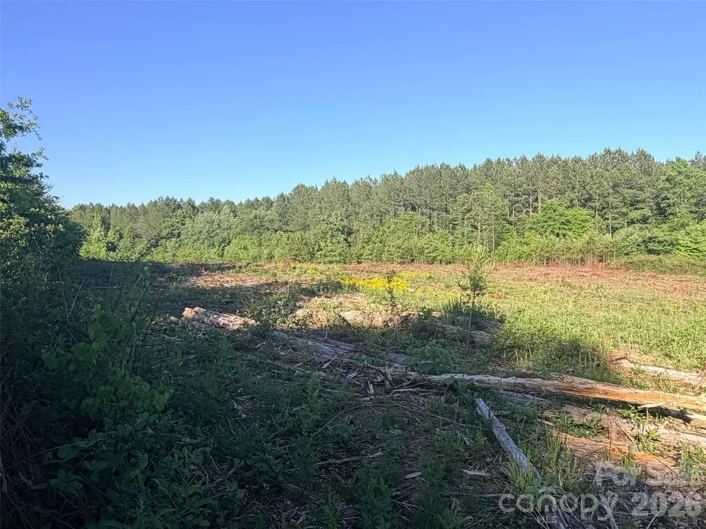 Lot 2 Doggett Grove Road Forest City NC 28043