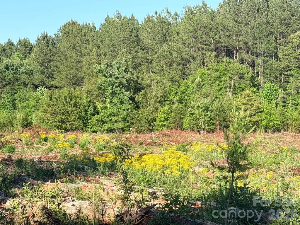 Lot 2 Doggett Grove Road Forest City NC 28043