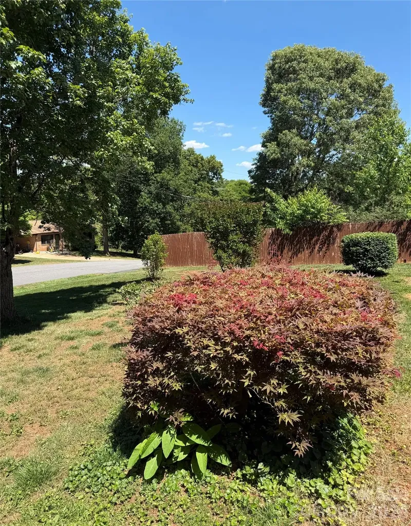 9108 Wilson Heights Avenue Hildebran NC 28637
