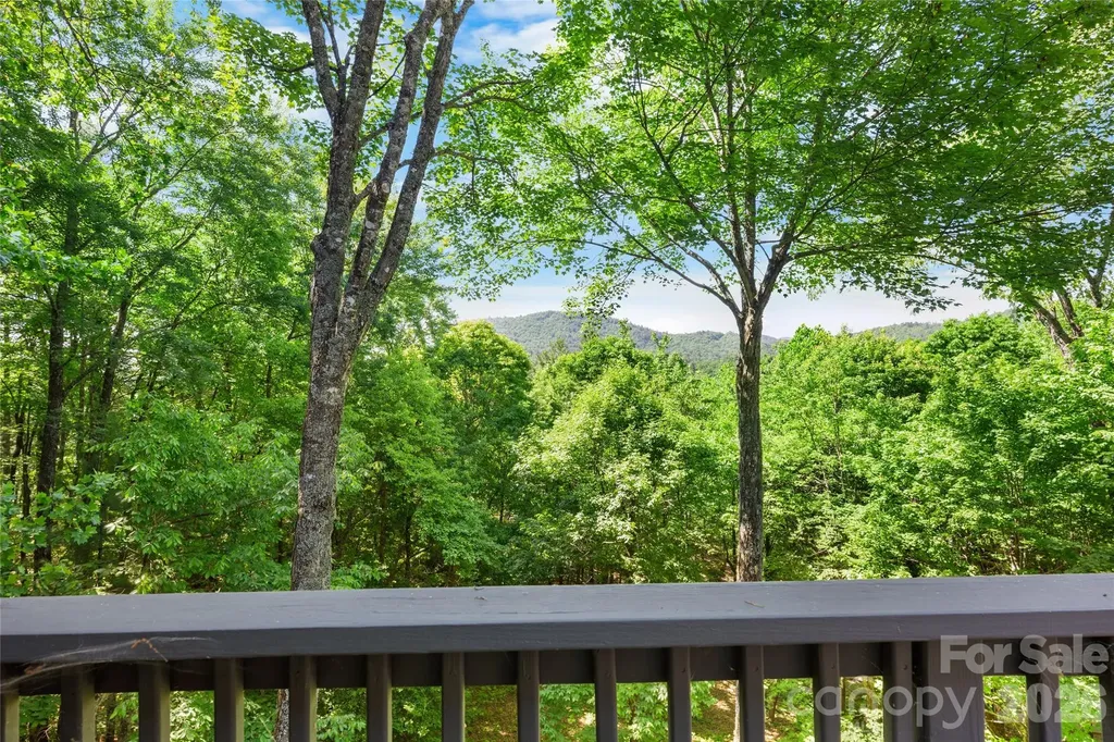 147 Club Colony Lane Lake Toxaway NC 28747