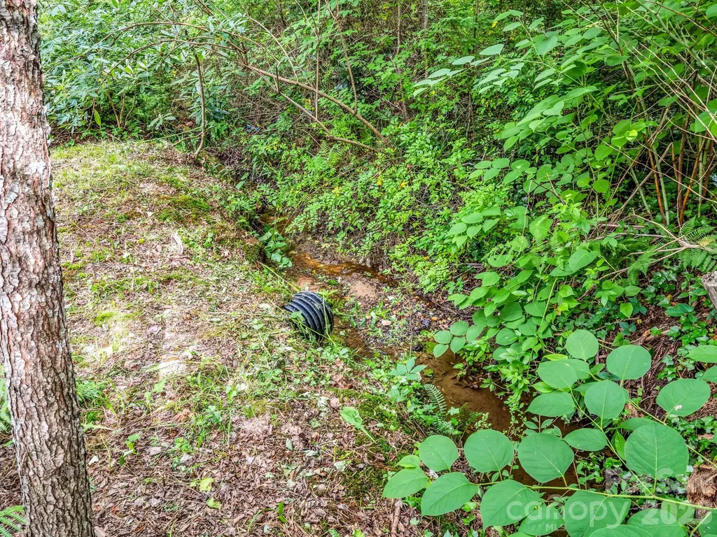 701 Azalea Avenue Black Mountain NC 28711