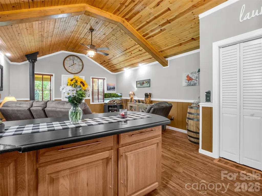 479 Camp Hill Road Lake Lure NC 28756