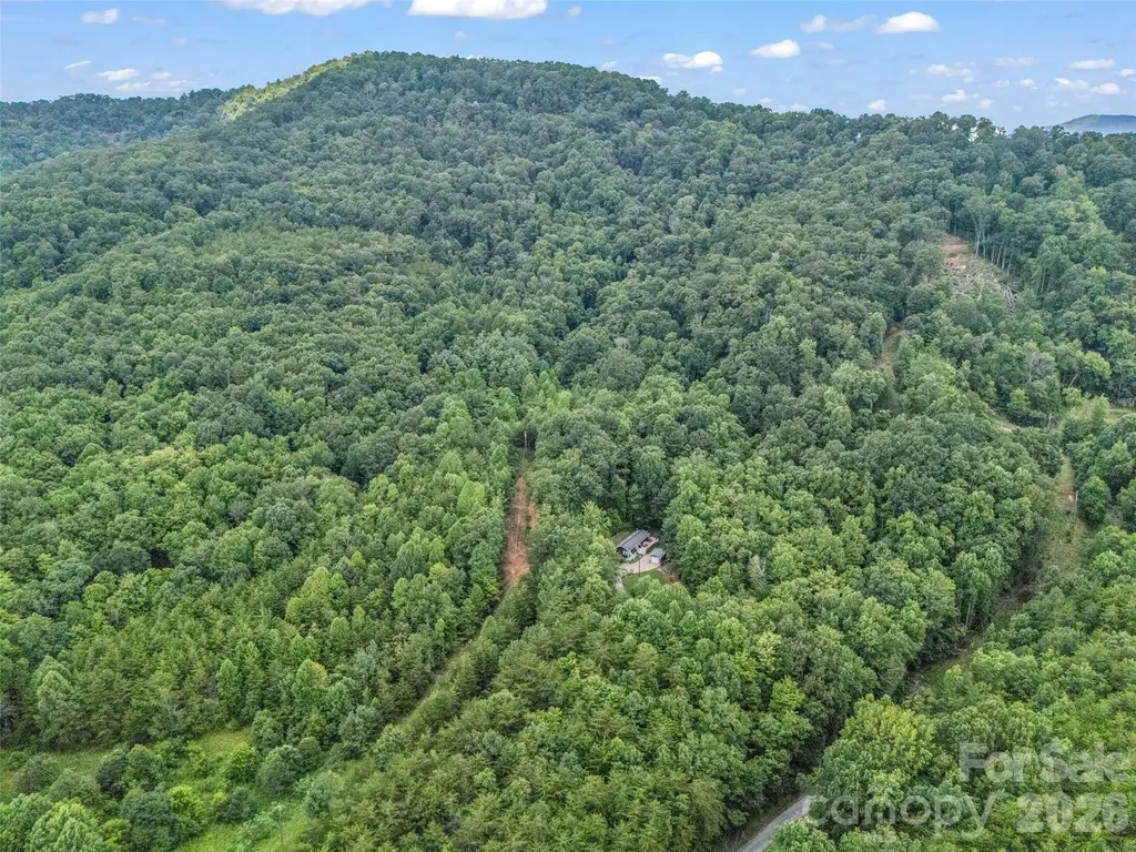 479 Camp Hill Road Lake Lure NC 28756
