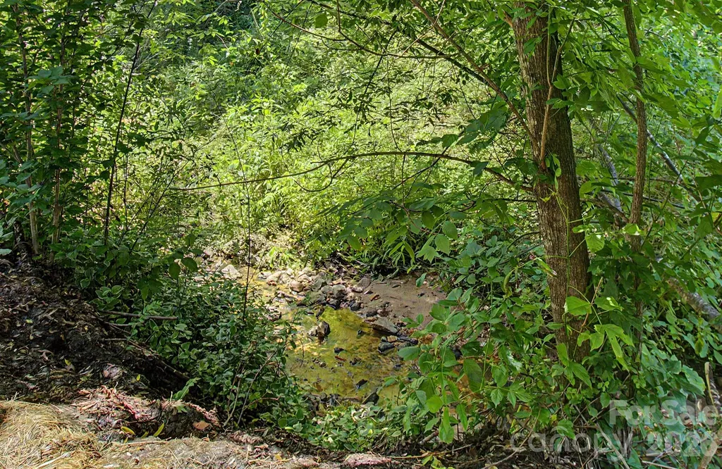 11 Waddell Street Weaverville NC 28787