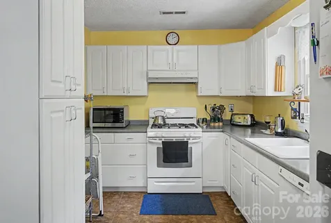 11 Waddell Street Weaverville NC 28787