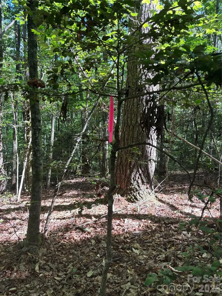 000 Stillwater Road Boomer NC 28606
