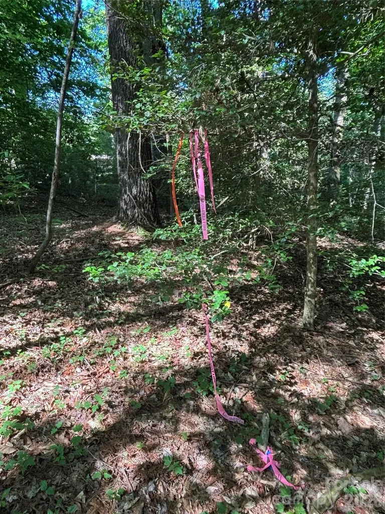 000 Stillwater Road Boomer NC 28606