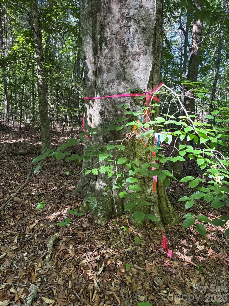 000 Stillwater Road Boomer NC 28606