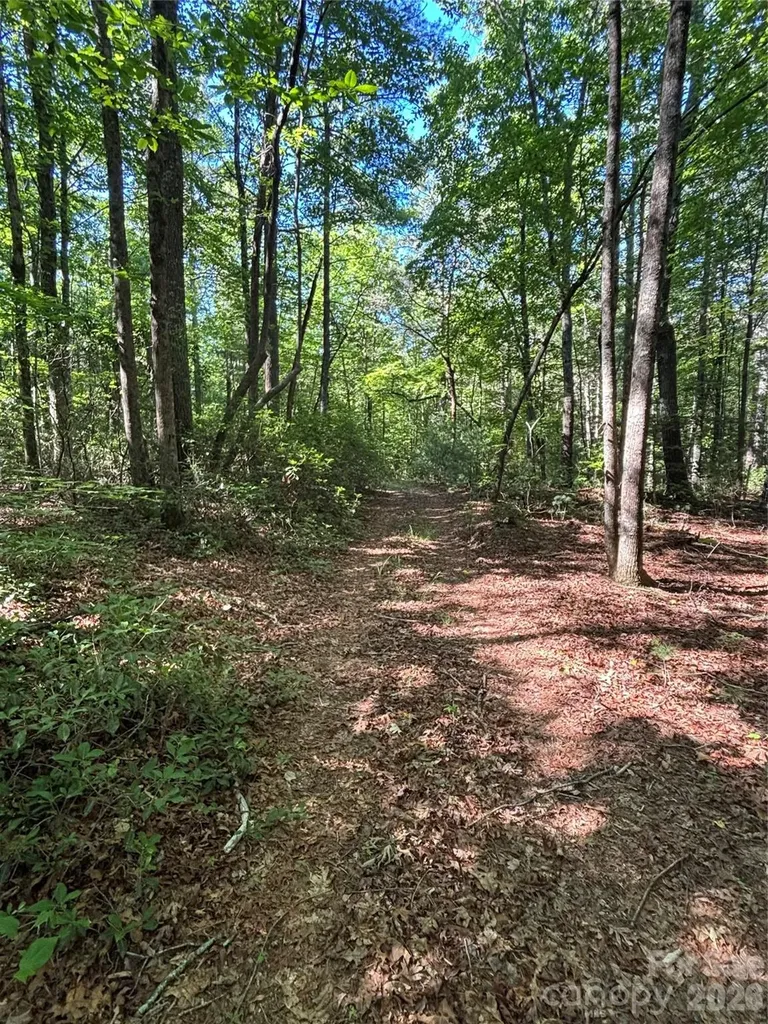 000 Stillwater Road Boomer NC 28606